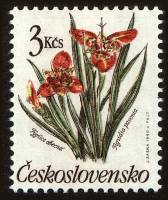 (1990-012) Марка Чехословакия "Тигридия павлинья"    Садовые цветы III Θ